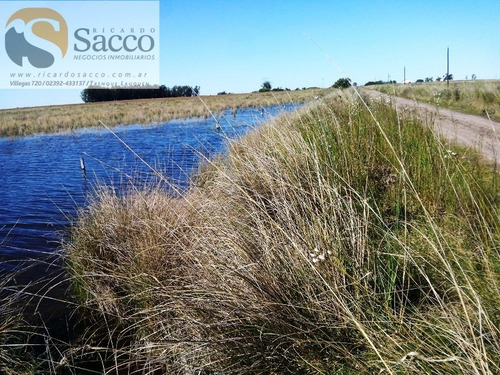 Chacra En Venta En Distrito De #trenquelauquen