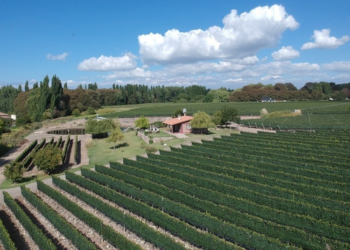 Imagen 16 de 30 de Cabaña Del Alto Tupungato Valle De Uco Mendoza Casa De Campo