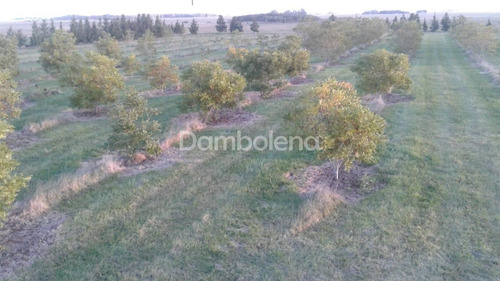 Imagen 3 de 25 de Terreno En Venta O Permuta Ubicado En Punta Indio, Resto De La Provincia