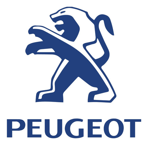 Fusileras Peugeot 206/207/307/partner Rep