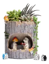 Comprar Macetas Suculentas Plantas Macetas Macetas De Animales Lindo