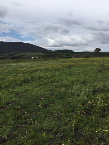 Terreno En Venta A Pie De Carretera