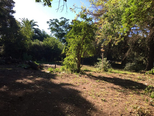 En Venta Lote Sobre Calle Salgado, Excelente Ubicación,lobos