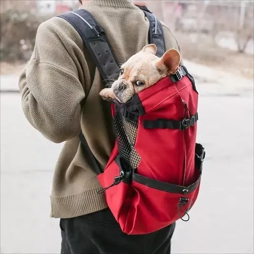Mochila porta perros grandes new arrivals