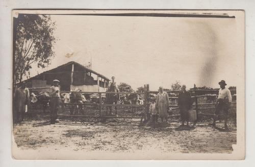 Antigua Postal Fotografia Rppc Corral Con Ganado Uruguay 