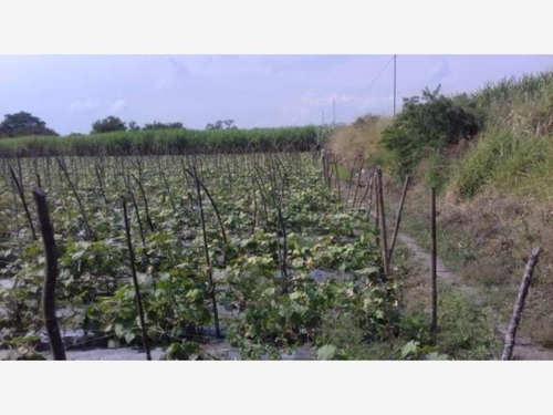 Imagen 4 de 10 de Venta Terreno Cuautlixco