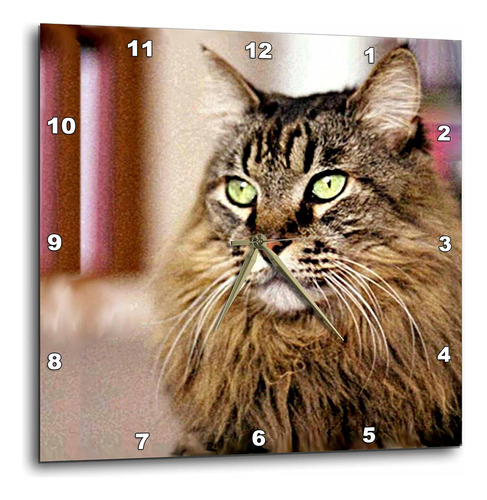 Dpp           305 Gatos  Maine Coon  Wall Clocks