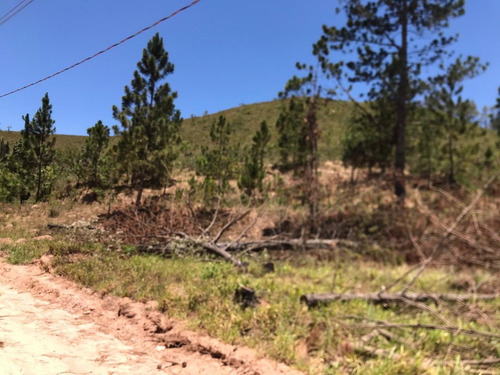 Imagem 16 de 30 de Chácaras Castelo Branco Condomínio Fechado Km 68 Mairinque