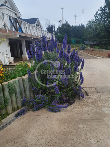 Condominio Consolidado, 4 Dorm. En Quintero
