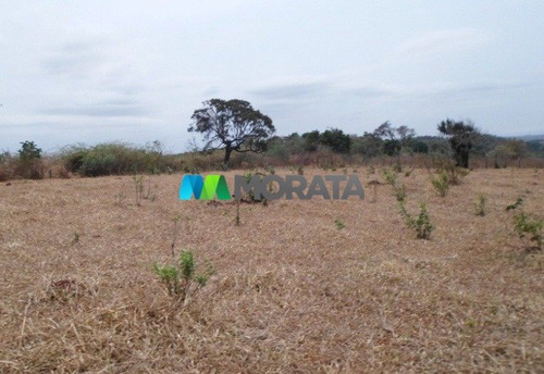 Imagem 15 de 15 de Fazenda - Zona Rural - Ref: 4350 - V-mta4350