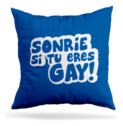 Cojin Deco Sonrie Si Tu Eres Gay! (d0937 Boleto.store)