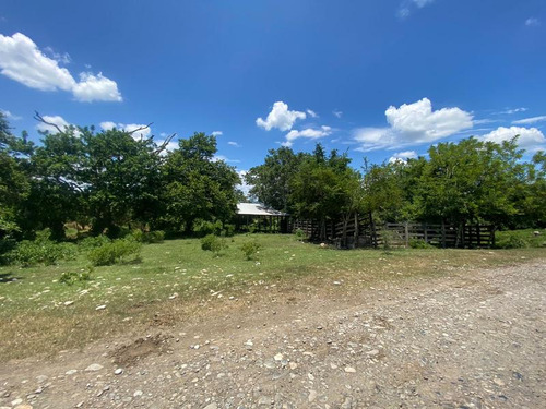 Venta Rancho 94 Hectareas El Otatal Alamo Temapache Veracruz