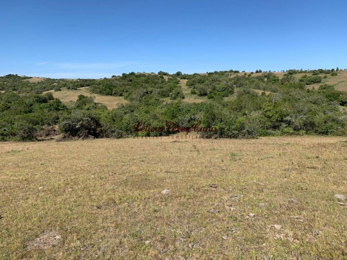 Imagen 22 de 30 de Venta Chacra 5 Has Ubicada En Jose Ignacio Proximo A Garzon