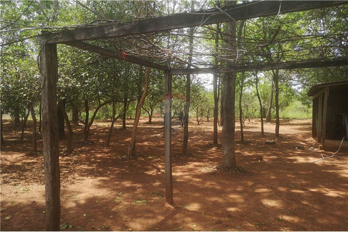 Imagen 6 de 11 de Vendo Casa En Paraguarí: 2 Habitaciones Y Un Baño.