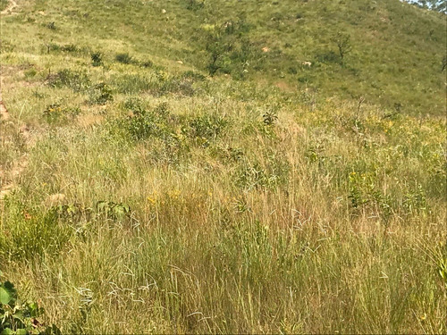 Chácaras Castelo Branco Condomínio Fechado Km 68 Mairinque