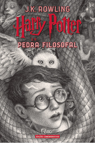 Imagem 1 de 1 de Harry Potter E A Pedra Filosofal - Edição 20 Anos