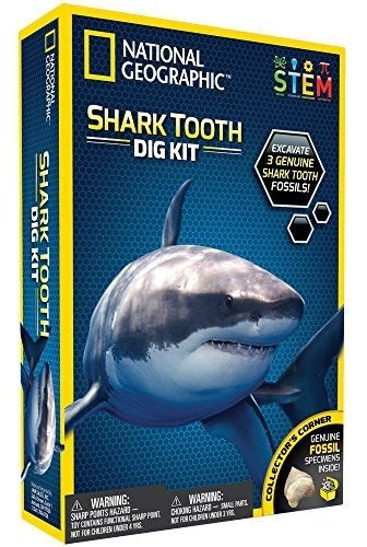 National Geographic Shark Tooth Dig Kit