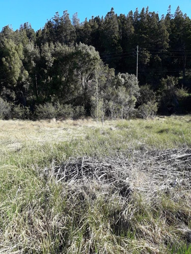 Venta Lote En Ph Av Pioneros Km 6800 B° P. Festa. Bariloche