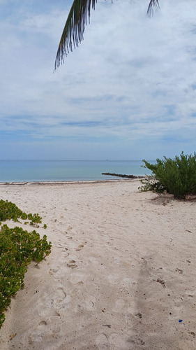 Venta De Casa En La Playa Con Piscina En Chelem Puerto Progreso