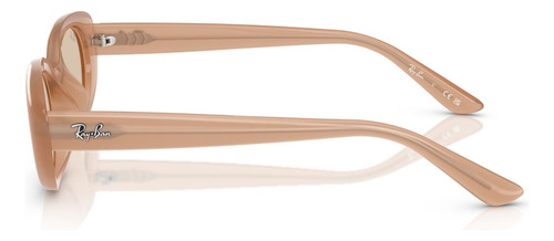 Lentes De Sol Marrón Ray-ban Rb4441d678793