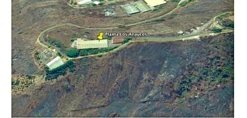 Imagen 8 de 12 de Los Anaucos Galpon Alquiler Muy Barato 4150 M2