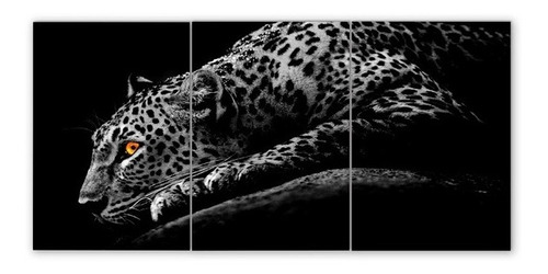 Cuadro Triptico Leopardos Varios Modelos 60x120 (1)