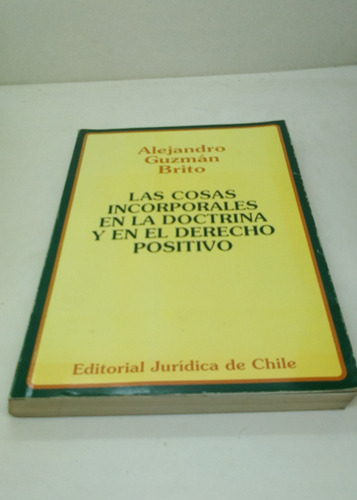 Las Cosas Incorporales En La Doctrina Y En El Derecho Pos...