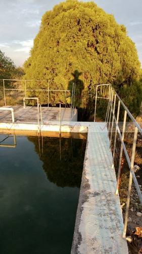 Palo Alto Vallecillo