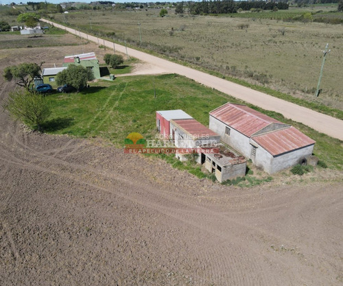 Imagen 5 de 28 de Chacra En Venta Progreso, 4.5 Has Muy Bien Ubicadas!