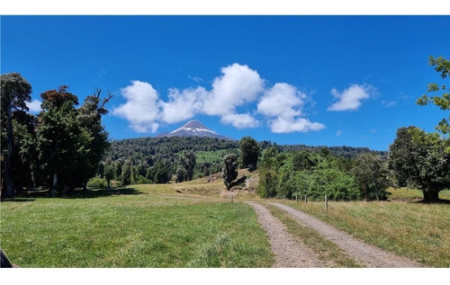 Imagen 6 de 13 de Parcelas De 5.000 M2 A Orillas Del Lago Llanquihue