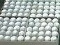 Caja Virolas-perillas Surtidas Tacos Pool (50 Uni)