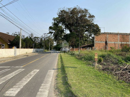 Imagem 5 de 13 de Terreno | Pinheiros | Bal. Barra Do Sul - 077