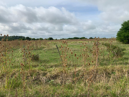 Imagen 7 de 12 de Campo En Venta En Punta Indio - Dacal Bienes Raices