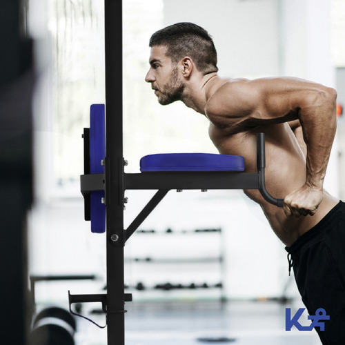 Torre Multifuncional Abdominales Fondos Banco Entrenamiento