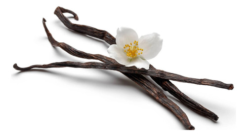 1 Vainilla Vaina Entera Natural Original Gourmant Organica