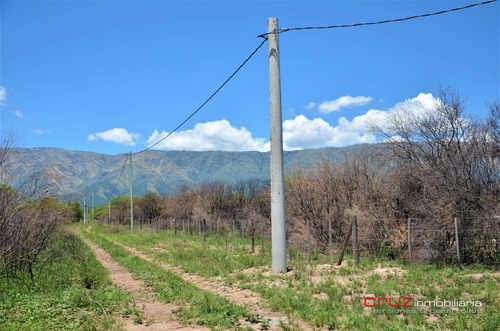 Imagen 8 de 14 de Lotes De 2500m2 En Cerro De Oro - Merlo