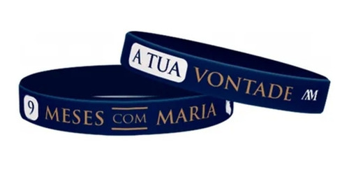 Box Caminhando Com Maria Do Livro 9 Meses Com Maria