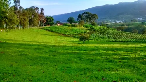 Piendamó, 23 Plazas Ganaderas Y/o Agrícolas.