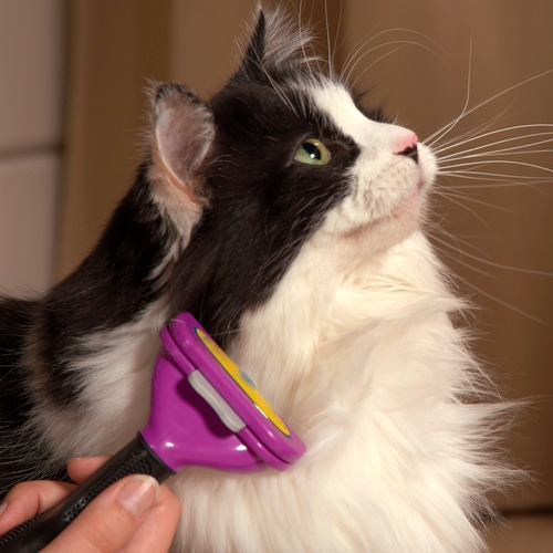 Cepillo Peine Gato Small Deslanador Premium Funamei Color
