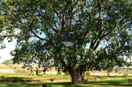 Imagem 8 de 18 de Casa À Venda No Bairro Parque Residencial Damha V - São José Do Rio Preto/sp - 2021714
