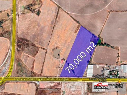 Terreno En Venta San Juan De Los Lagos, 70,000 M²