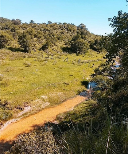 Imagen 12 de 15 de Campo Calmayo