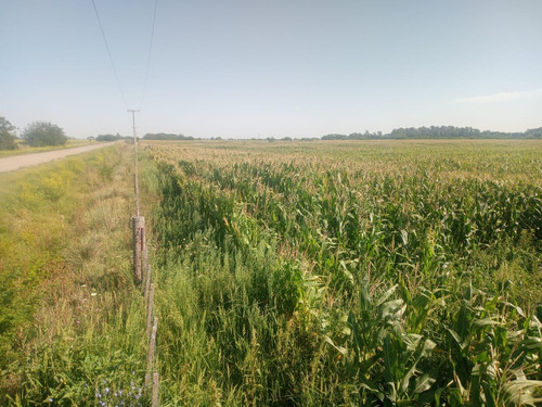 Campo En Venta En Ayacucho