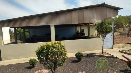Imagem 27 de 30 de Venda: Ótima Propriedade Rural Entre Agudos-bauru - Si00006