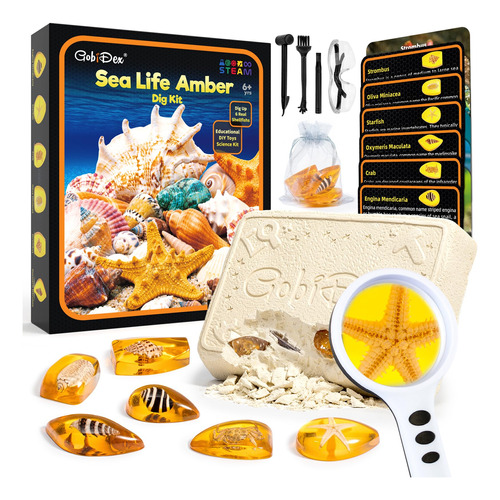 Gobidex Sea Life - Kit De Excavacion De Ambar, Juguetes Educ