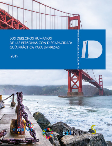 Libro Derechos Humanos De Las Personas Con Discapacidad G...