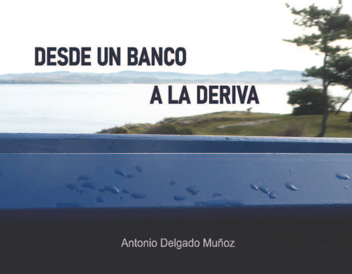 Libro Desde Un Banco A La Deriva - Delgado Muã±oz,antonio