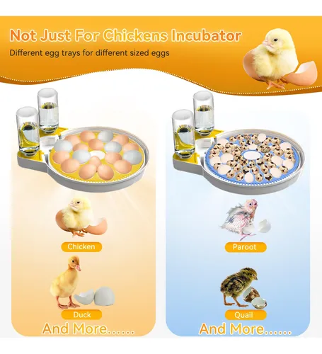 Incubadora De Huevos Incubadoras Zekoled Para Incubar De 18