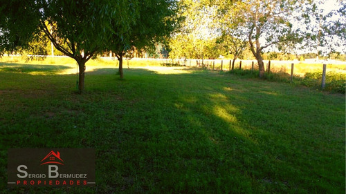 Imagen 11 de 14 de Venta-chacras-campo - Gral Lavalle-ruta 11/ Km 320