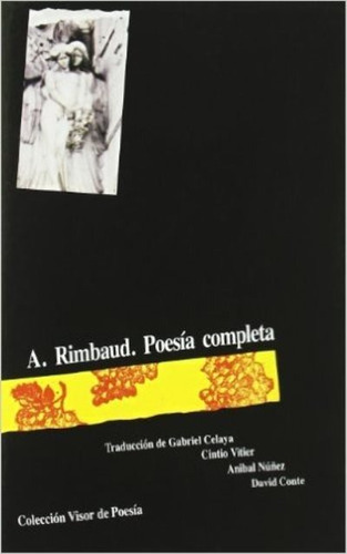 Poesía Completa, Arthur Rimbaud, Visor